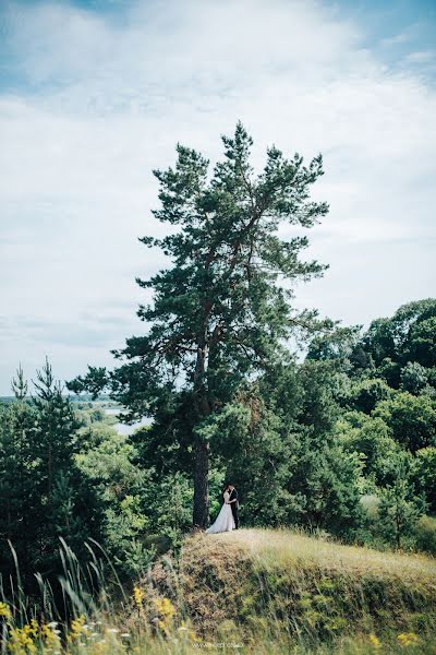 Bryllupsfotograf Alisa Polyakova (alicepolyakova). Foto fra december 8 2017