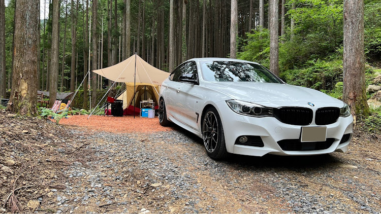 3シリーズ グランツーリスモのF34・BMW3シリーズ・RAYS・G025に関するカスタム事例の投稿画像3枚目
