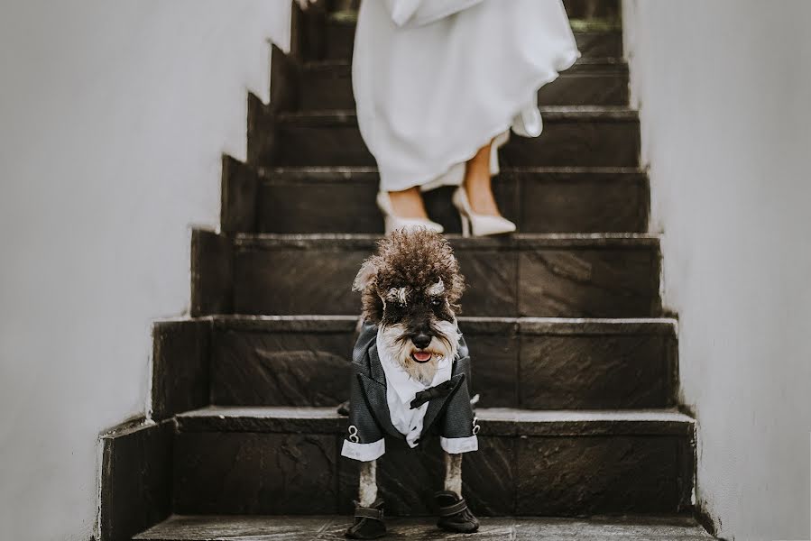 Photographe de mariage Maria Rei (mariarei). Photo du 27 novembre 2021