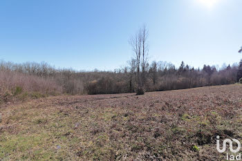 terrain à Royères (87)