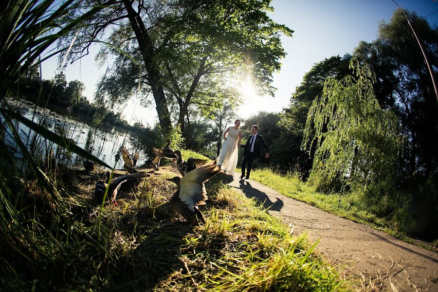 結婚式の写真家Dmitriy Kuzko (mitka)。2017 9月5日の写真