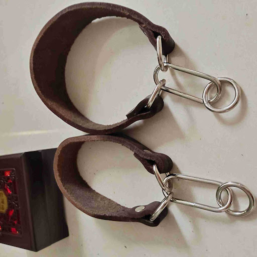 Title 3, Widened Greyhound Leather Collar