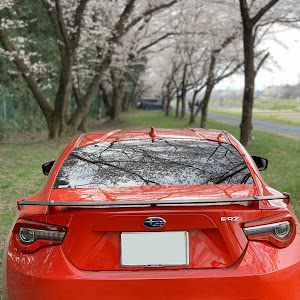 BRZ ZC6