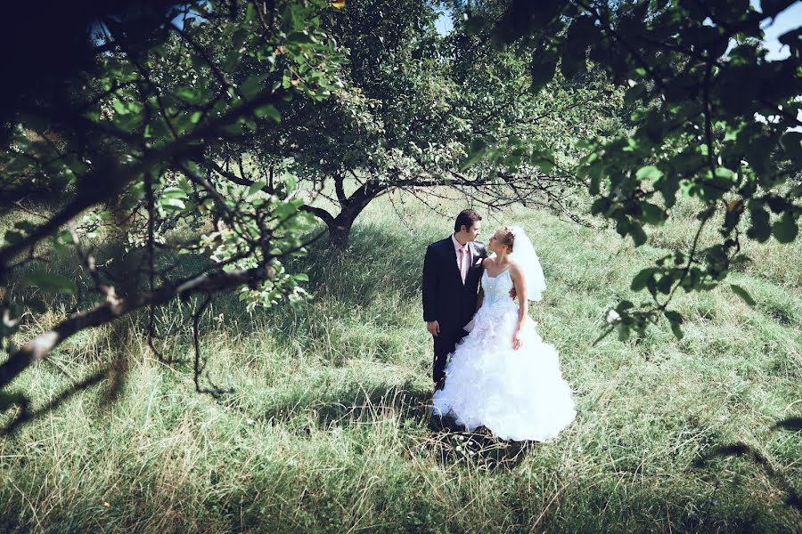 Fotógrafo de casamento Mariya Lukerchik (liker). Foto de 8 de agosto 2014