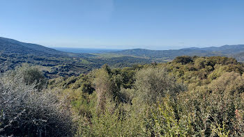 propriété à Sollacaro (2A)