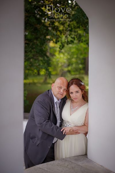 Photographe de mariage Nadezhda Cherkasskikh (nadinenc). Photo du 24 juillet 2018