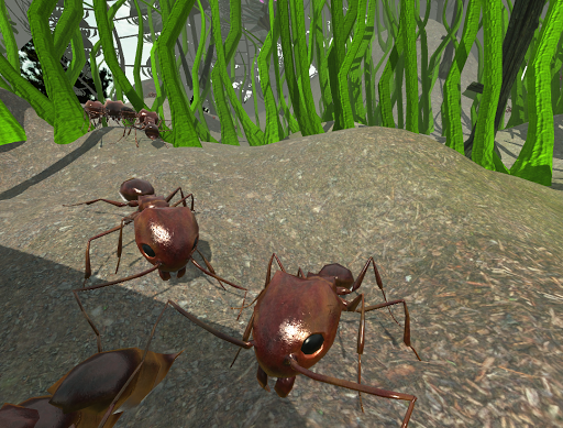 Download Ant Simulation 3d Insect Survival Game For Pc - ant simulator roblox