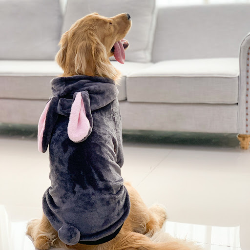 miniatures image - 12