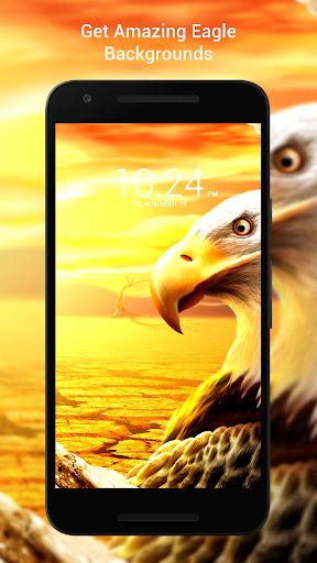 Eagle Wallpaper Hd For Mobile
