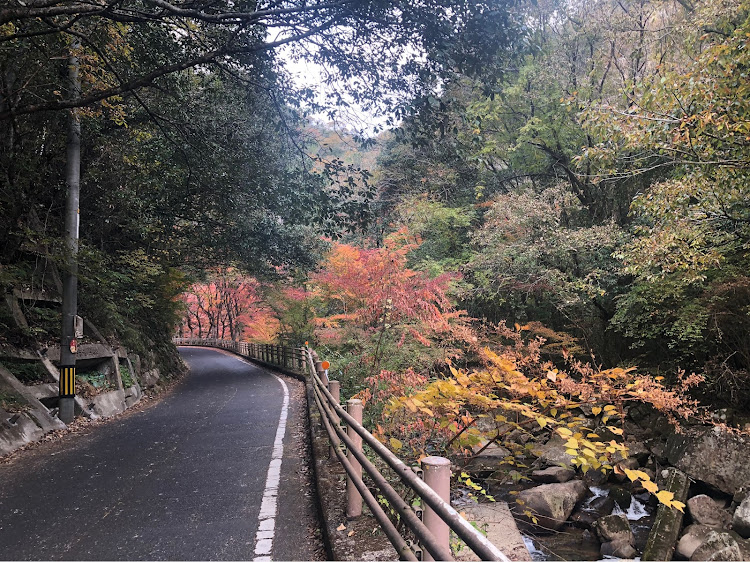 ロードスターの紅葉狩り🍁🍂・ハイオク満タン✨に関するカスタム事例の投稿画像2枚目