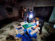 A police officer counts the monkeys found in bags in an abandoned house in Saraburi Province, Thailand February 17, 2022.