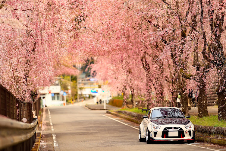 コペンの桜ストック🌸・400&880コラボ・GT-Kコペン・桜コラボ終盤失礼します🙇‍♂️✨に関するカスタム事例の投稿画像4枚目