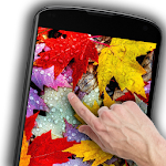 Autumn leaves Live Wallpaper Apk