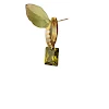 miniatures image - 0