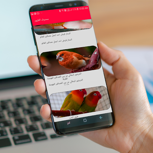 محترف الطيور