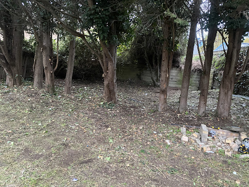 Item 214