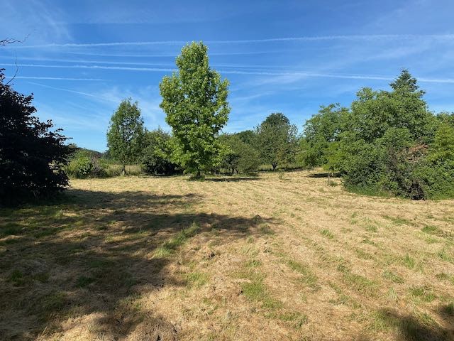 Vente terrain  4917 m² à Bourg-le-Comte (71110), 70 200 €