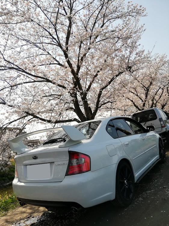 りゅーせーさんが投稿した桜と愛車・休日の過ごしかた・レガシィB4 bl5・クラウンハイブリッド・ジムニーシエラに関するカスタム事例の投稿画像2枚目