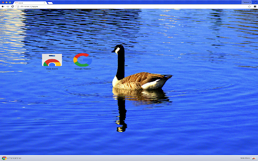 Goose Theme