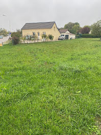 terrain à Vendeuvre-sur-Barse (10)