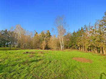 terrain à Romazy (35)