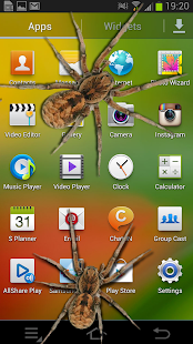 Spider in phone prank(圖5)-速報App