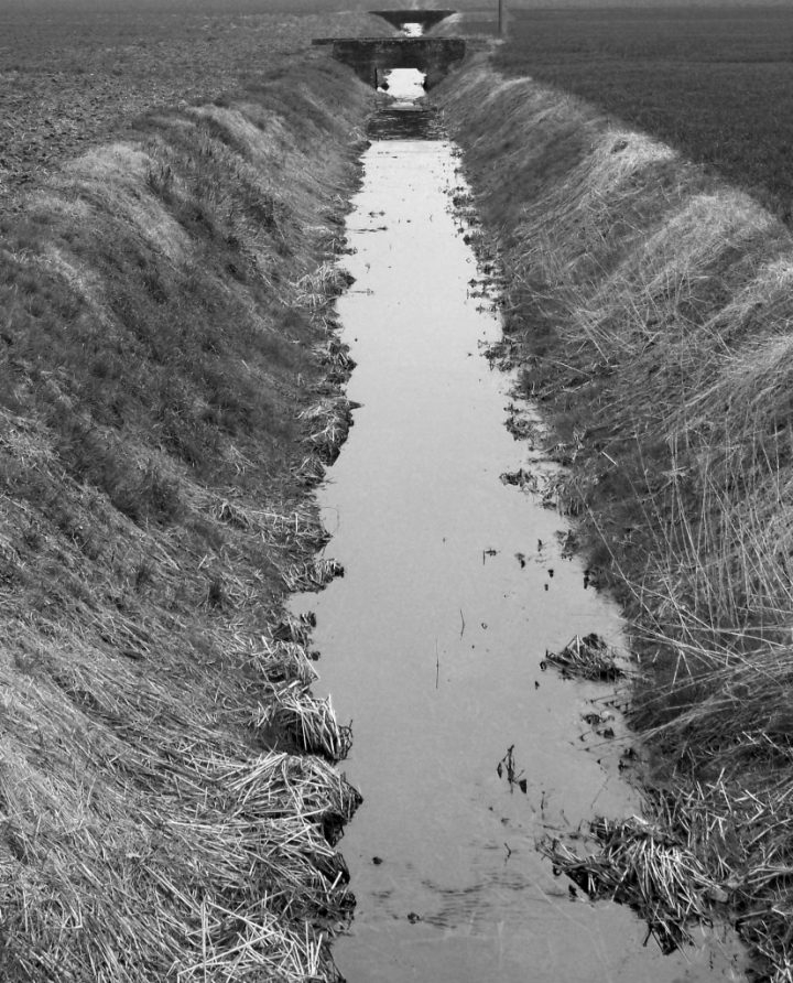 Acqua ferma di poseidone