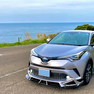 C-HR ZYX10