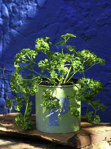 It's best to add parsley to a dish towards the end of cooking so the flavour isn’t lost.