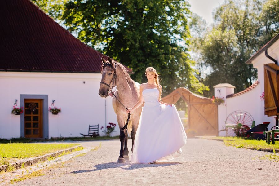 Düğün fotoğrafçısı Alena Sreflova (sreflova). 11 Şubat 2014 fotoları