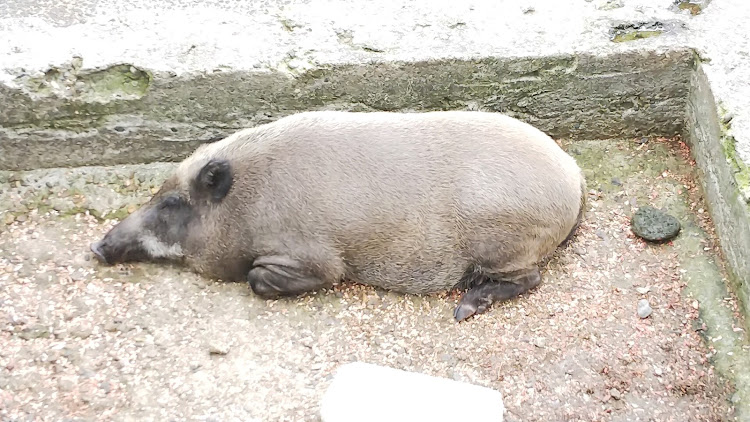 セレナのお出かけ(*´ー｀*)・明日の仕事の活力♪に関するカスタム事例の投稿画像2枚目