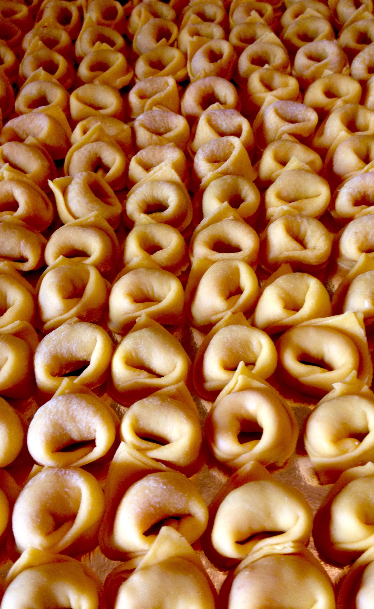 Tutti in riga... di Arianna Marini