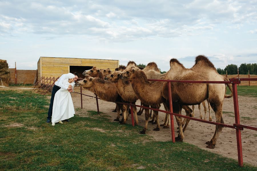 Fotógrafo de bodas Elena Demina (elenademina). Foto del 9 de octubre 2017