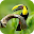 Birds Wallpapers Live HD Download on Windows