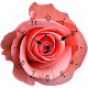 Download Rose Clock For PC Windows and Mac 1.2