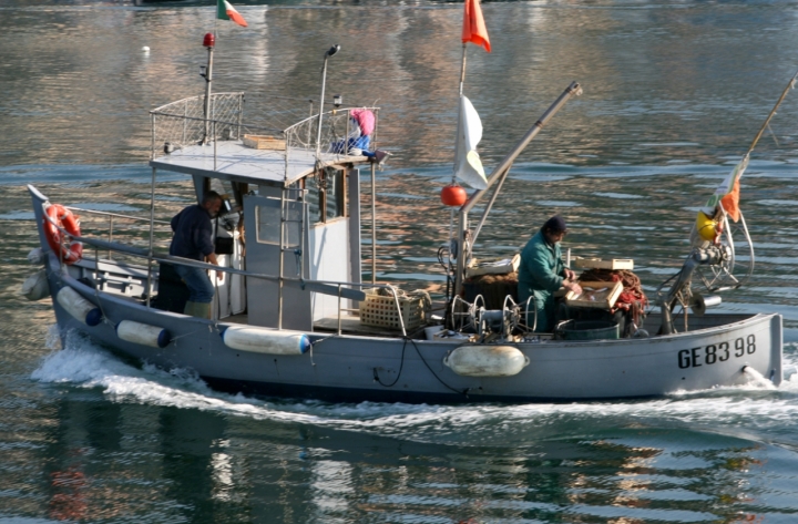 PESCATORI...LA CERNITA DEL PESCATO di rafiki