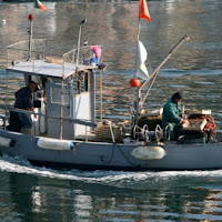 PESCATORI...LA CERNITA DEL PESCATO di 