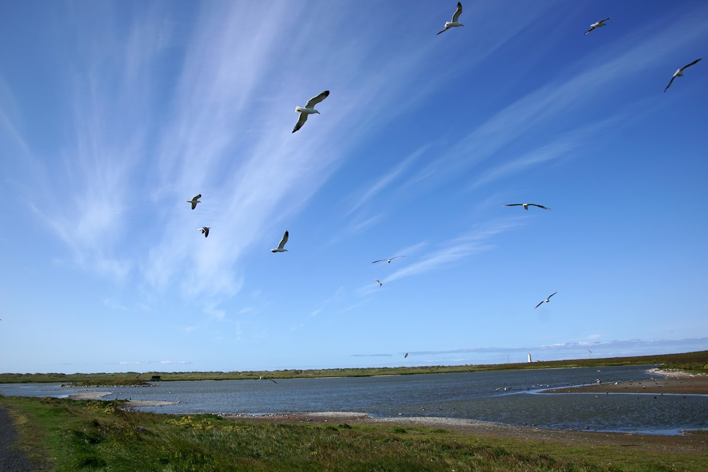 Исландия - родина слонов (архипелаг Vestmannaeyjar, юг, север, запад и Центр Пустоты)