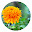 Daisy New Tab Page HD Popular Scenery Theme