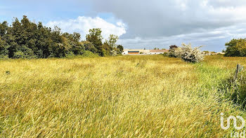 terrain à Luçon (85)