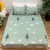 Bộ Ga Chun Kèm Vỏ Gối Poly Cotton, Ga Giường Bọc Đệm M6X2M; M8X2M; 2Mx2M2 (Ảnh Thật, Được Chọn Mẫu)