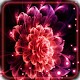 Download Flowers Fantasy Neon Live Wallpaper For PC Windows and Mac 1.0