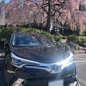 C-HR ZYX10
