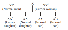 Sex Linked Inheritance