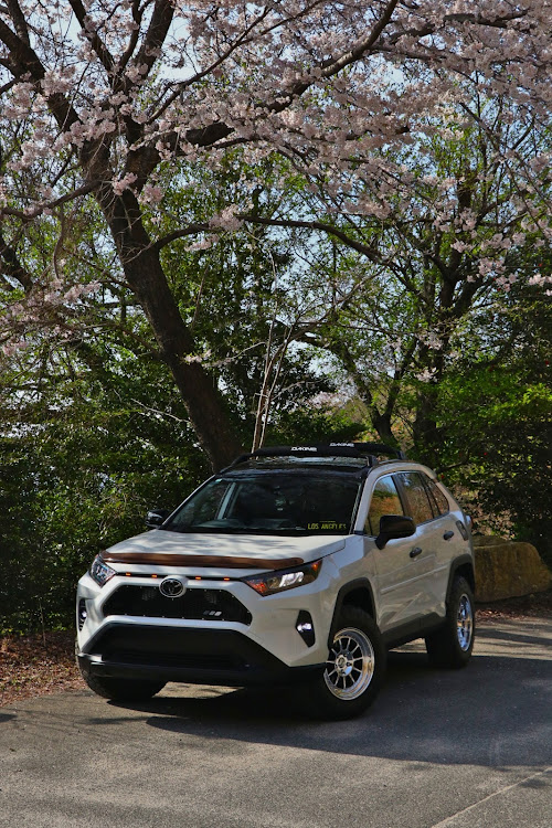 RAV4のSAKURAV4・サクラと愛車・chromewheels・ライティング撮影練習中・猫との生活に関するカスタム事例の投稿画像7枚目