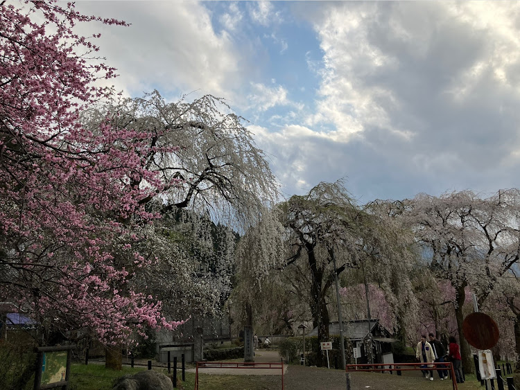 ロードスターの定位置・桜に関するカスタム事例の投稿画像7枚目