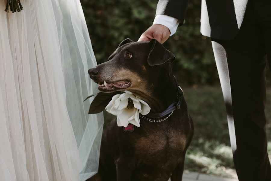 Photographe de mariage Ash Carr (ashcarr). Photo du 4 avril 2022