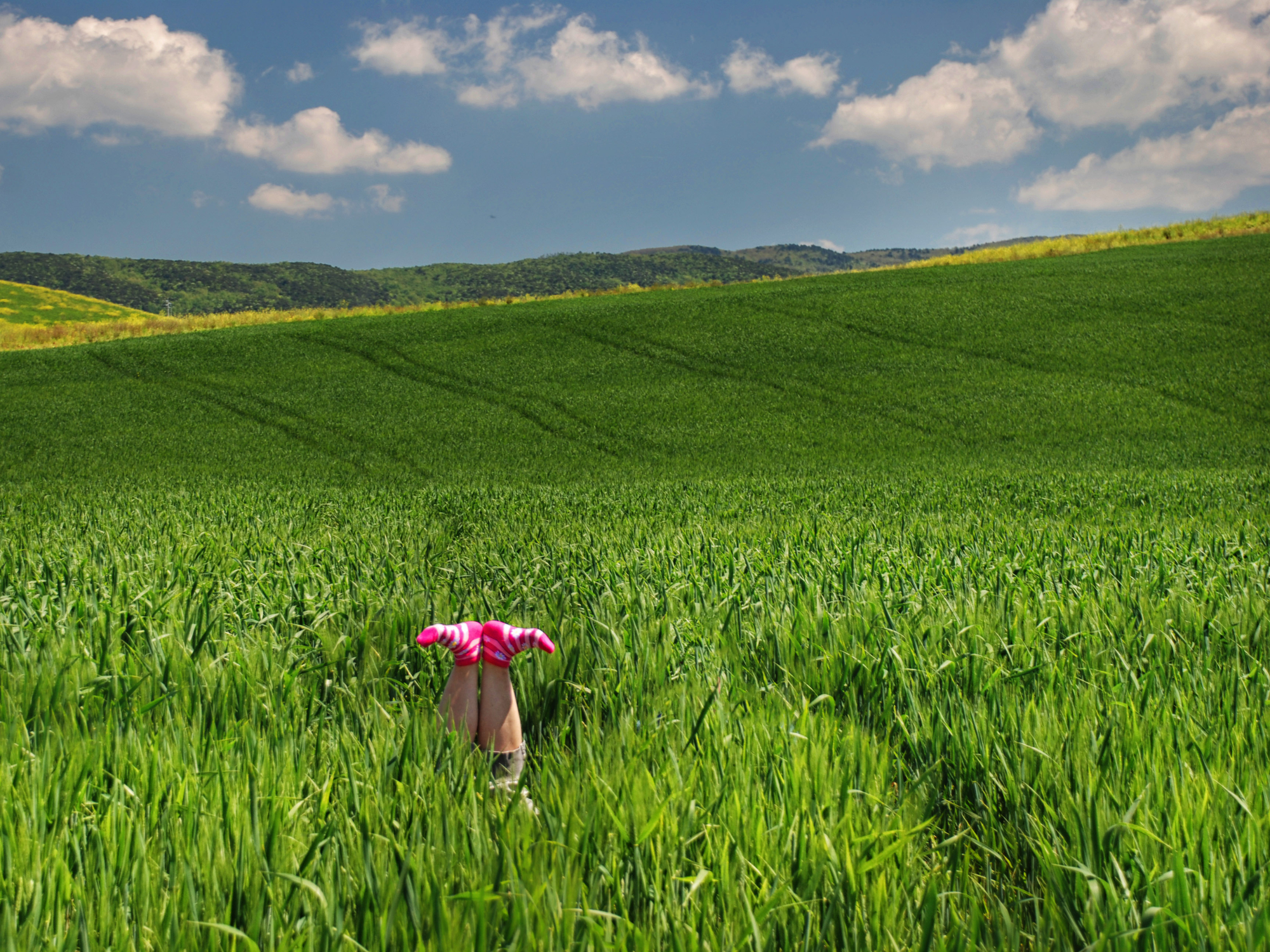 Strani fiori questa primavera! di franca111