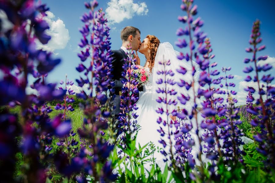 Wedding photographer Nikita Ankudinov (ankudinov). Photo of 14 June 2016