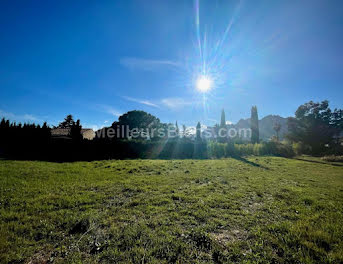 terrain à Roquebrune-sur-Argens (83)